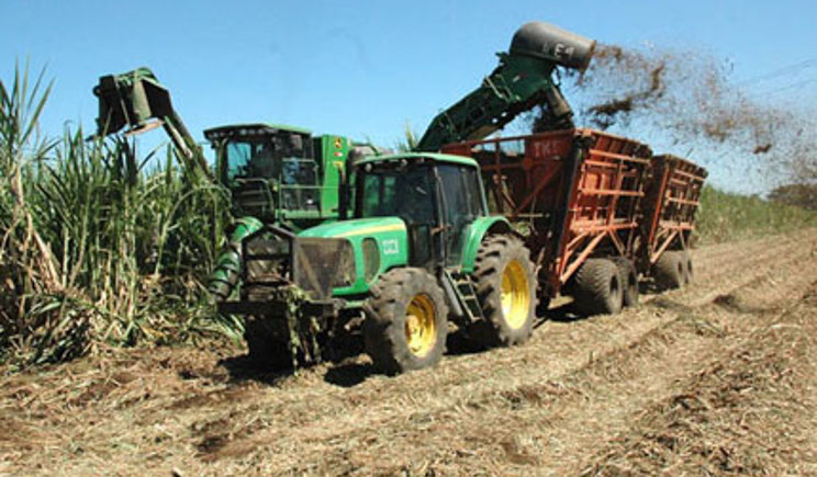 implentan-nuevas-formulas-para-fortalecer-produccion-caa-azcar-0