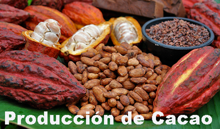 impulsan-exportaciones-cacao-europa-0